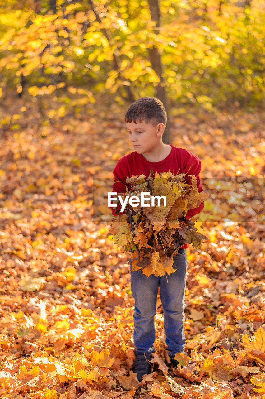 Teenager boy stands thoughtfully on fallen leaves, holding in his hands a lot of yellow leaves