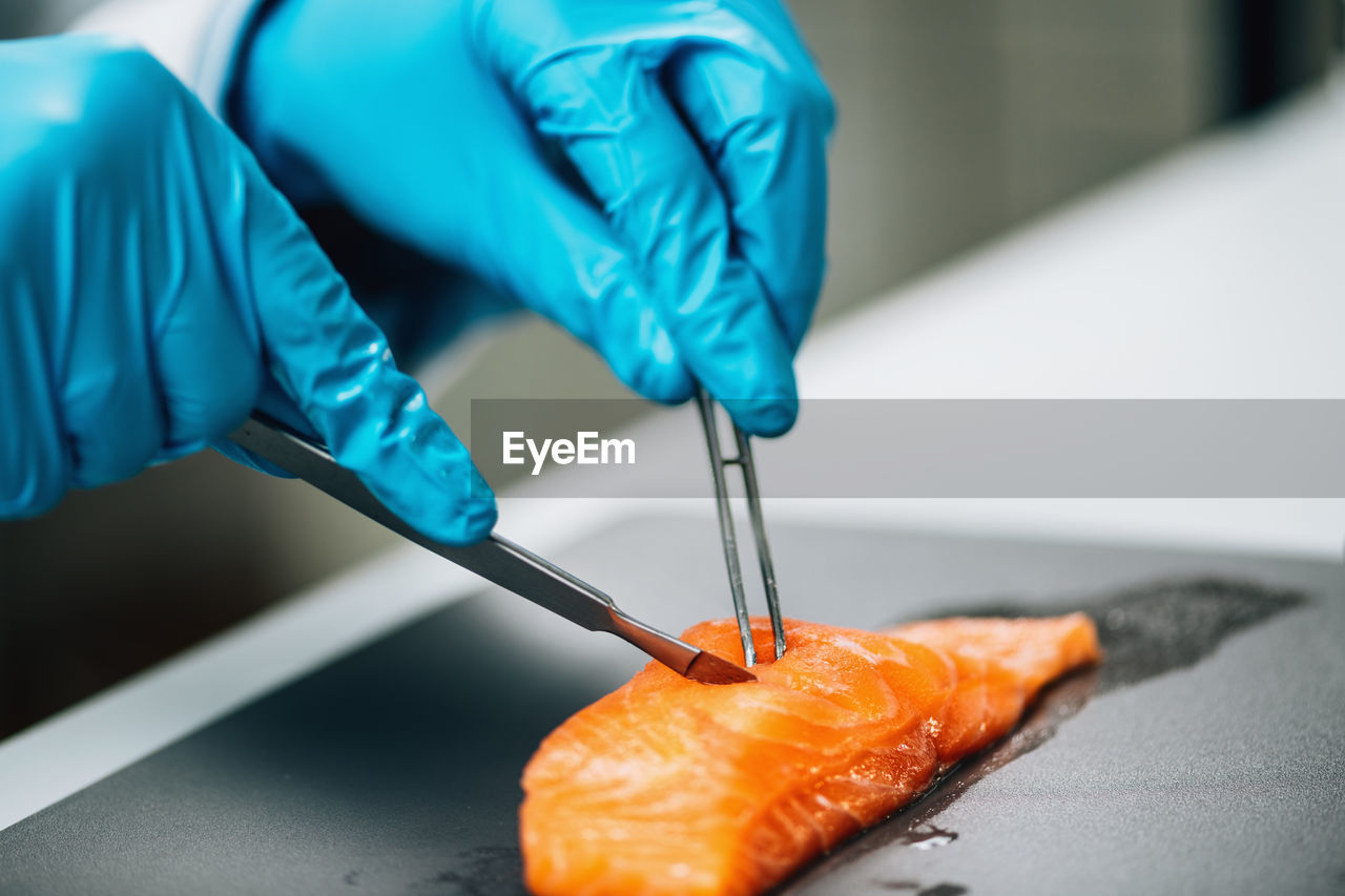 Food quality control of sea fish. quality control inspector analyzing salmon in a laboratory.