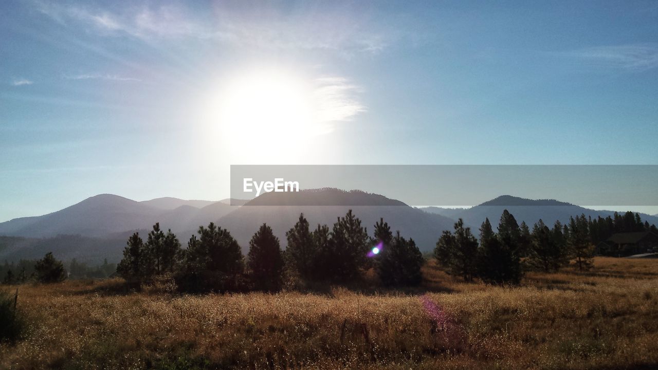 Scenic view of landscape and mountains on sunny day