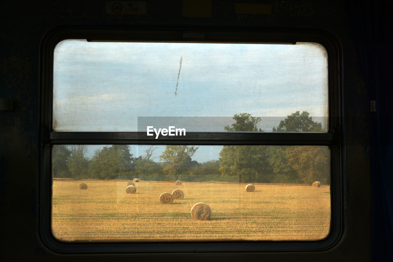 Landscape seen through train window