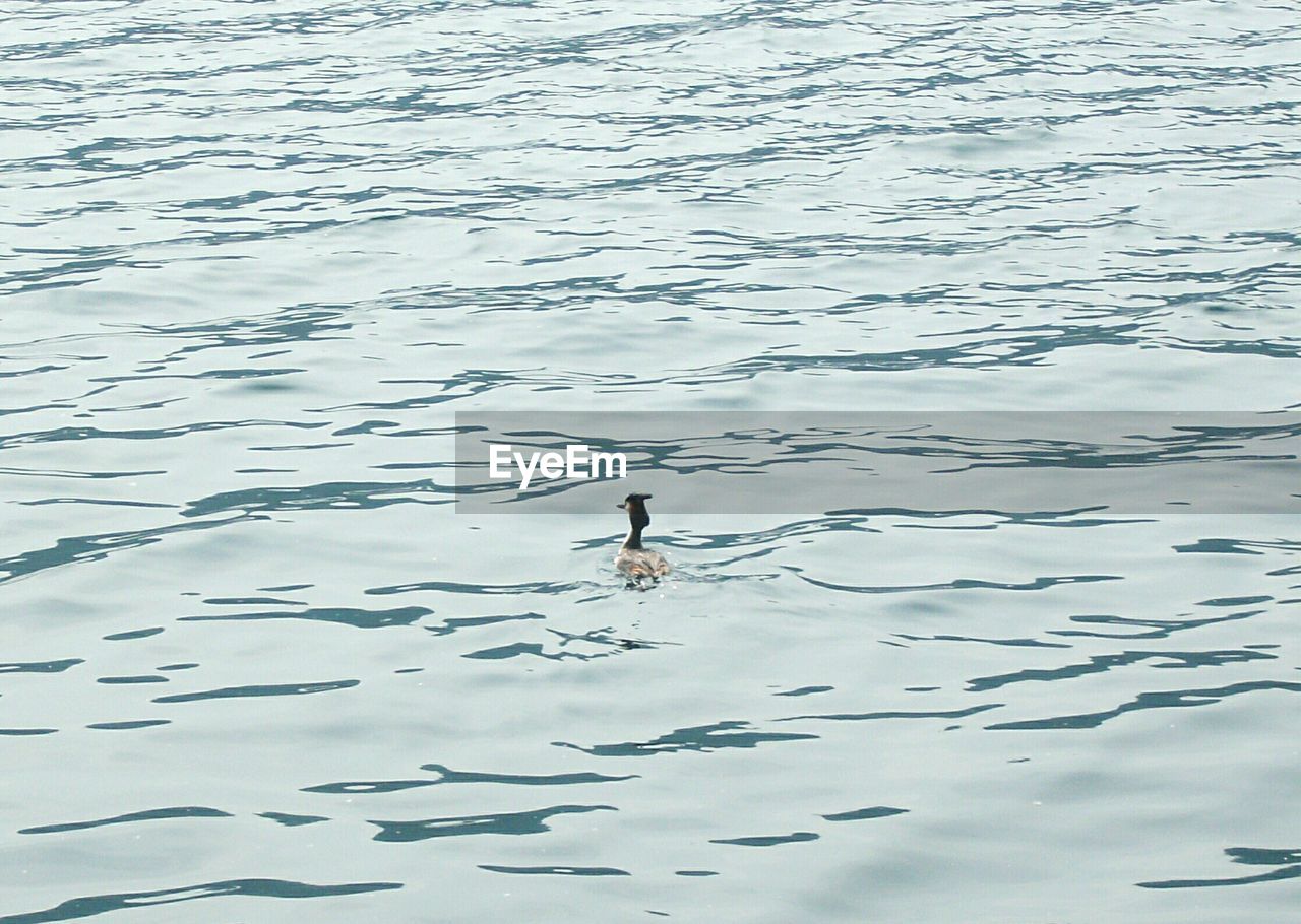 REFLECTION OF MAN IN WATER