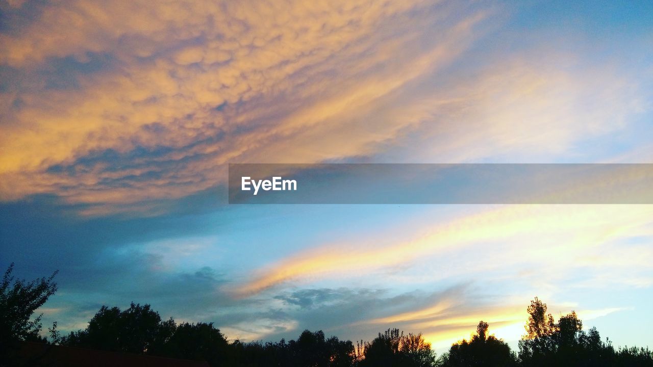 Low angle view of trees against cloudy sky 