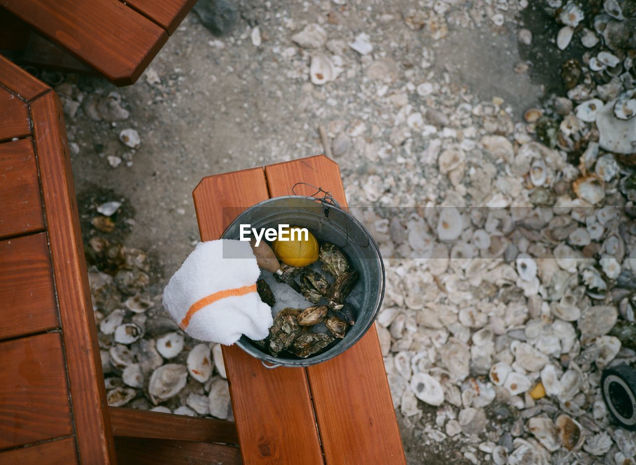 High angle view of oysters in bucket on bench by picnic table