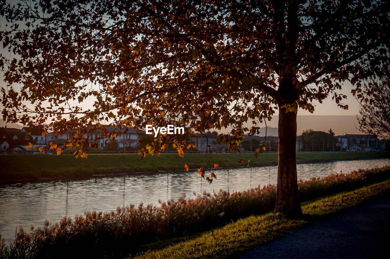 SCENIC VIEW OF PARK DURING SUNSET