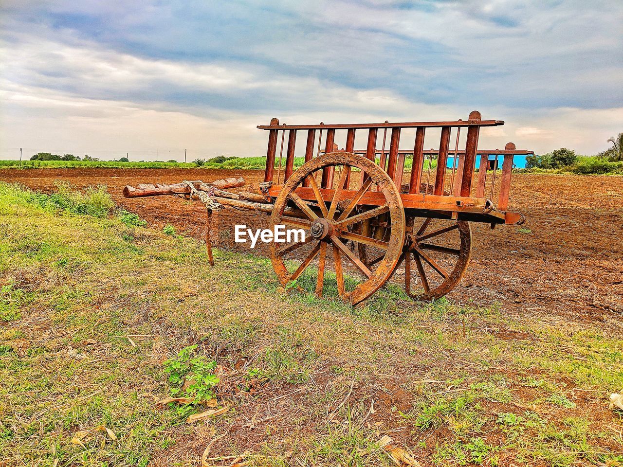 Bullock cart parked on field against sky