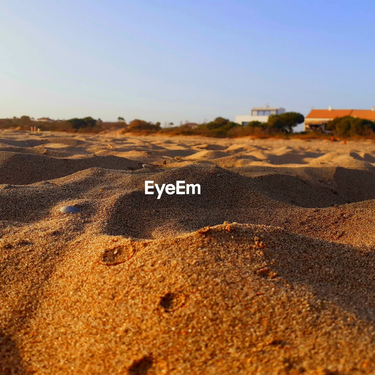 Surface level of land against clear sky