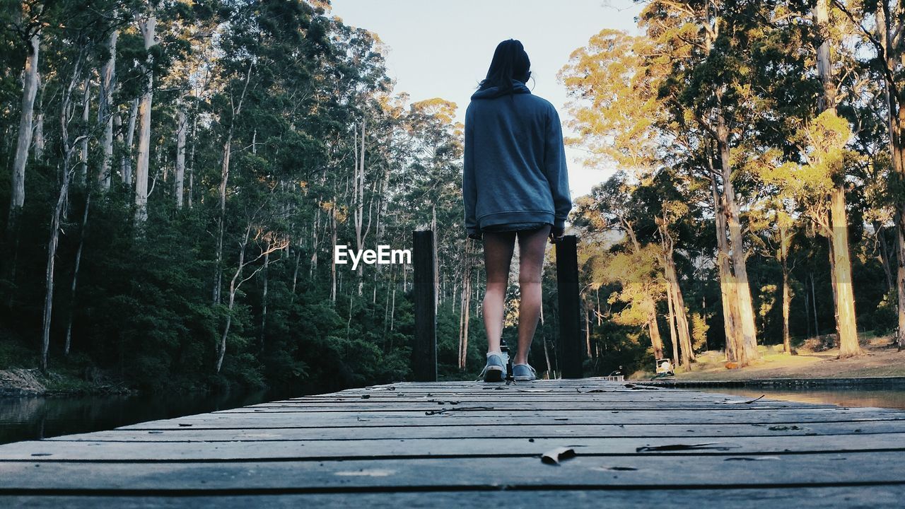 Rear view of woman walking amidst trees