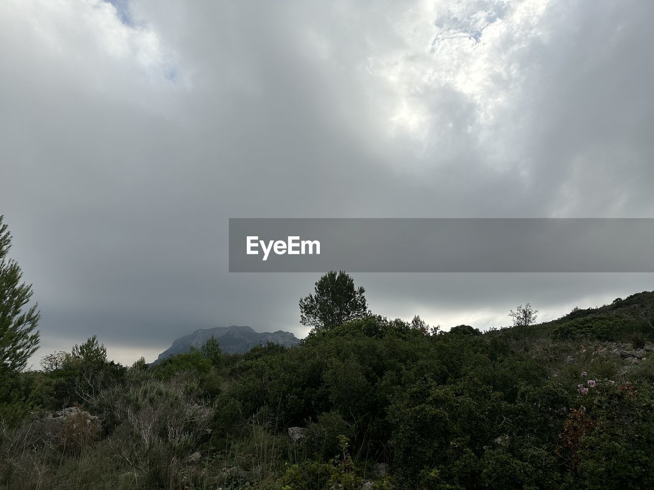 cloud, sky, nature, plant, tree, environment, mountain, beauty in nature, forest, landscape, scenics - nature, land, no people, storm, storm cloud, outdoors, dramatic sky, cloudscape, non-urban scene, overcast, travel, travel destinations, tranquility, tourism, thunderstorm, wilderness, horizon