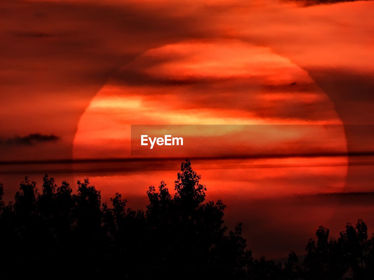 Nikon d750 ID 196243491