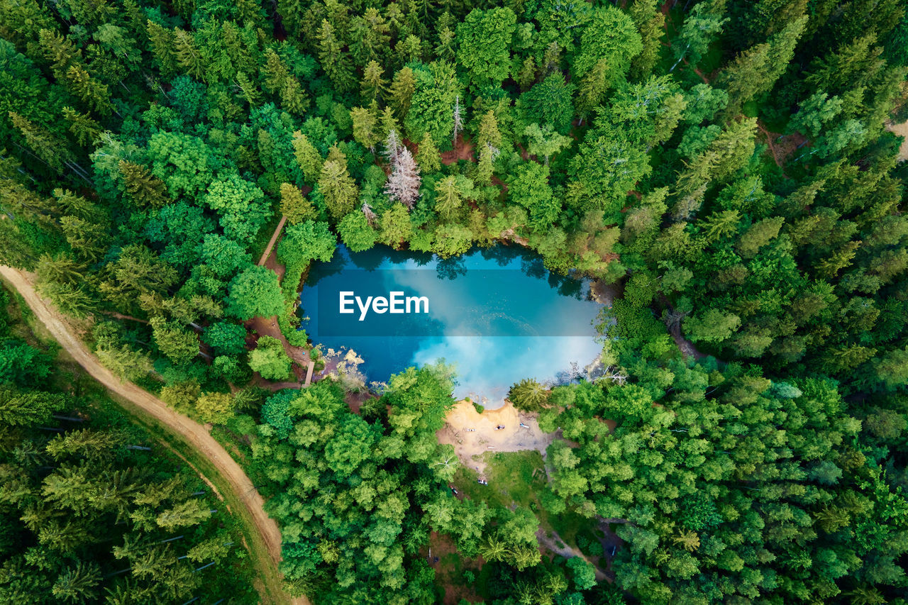 Aerial view of blue colored forest lake in poland