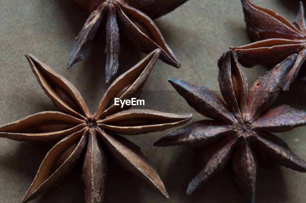 Close-up of star anise on table