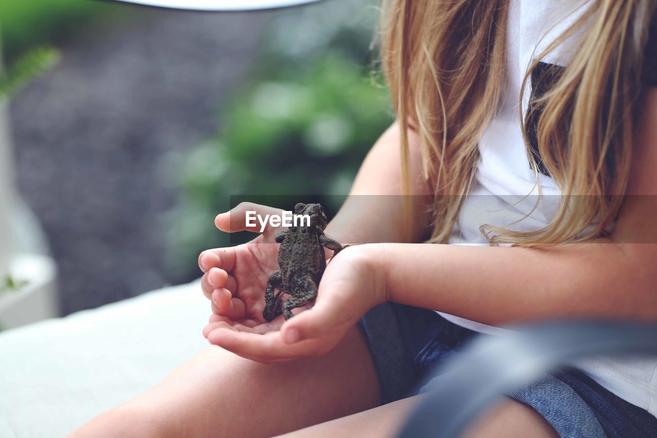 Midsection of girl holding frog while sitting in backyard