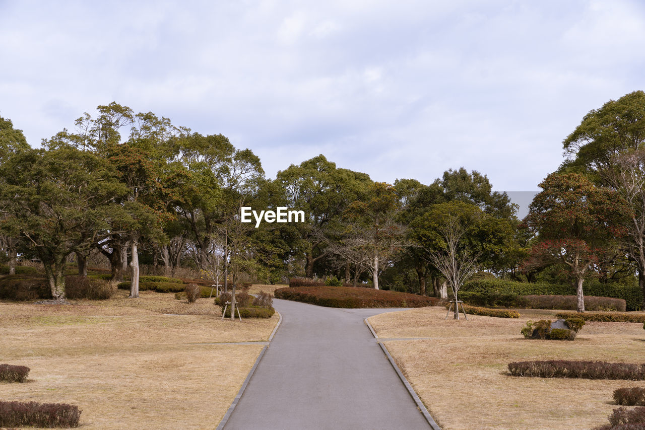 Empty road amidst trees in park against sky