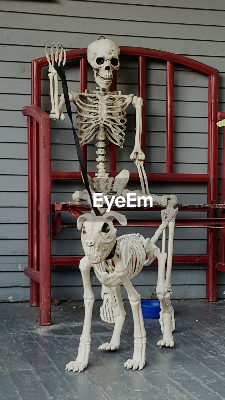 Human and dog skeleton on metal seat against wall during halloween