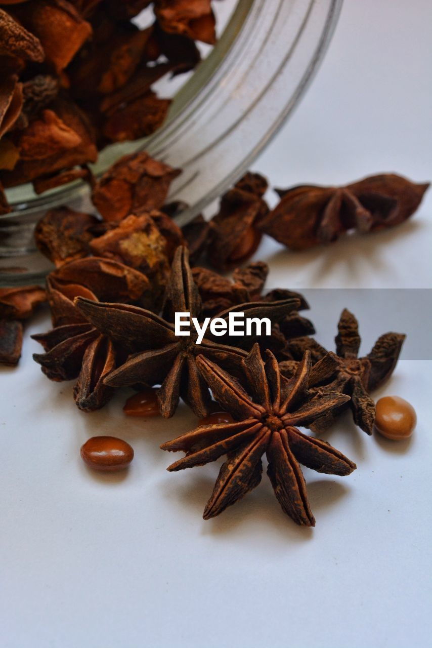 HIGH ANGLE VIEW OF LEAF ON TABLE