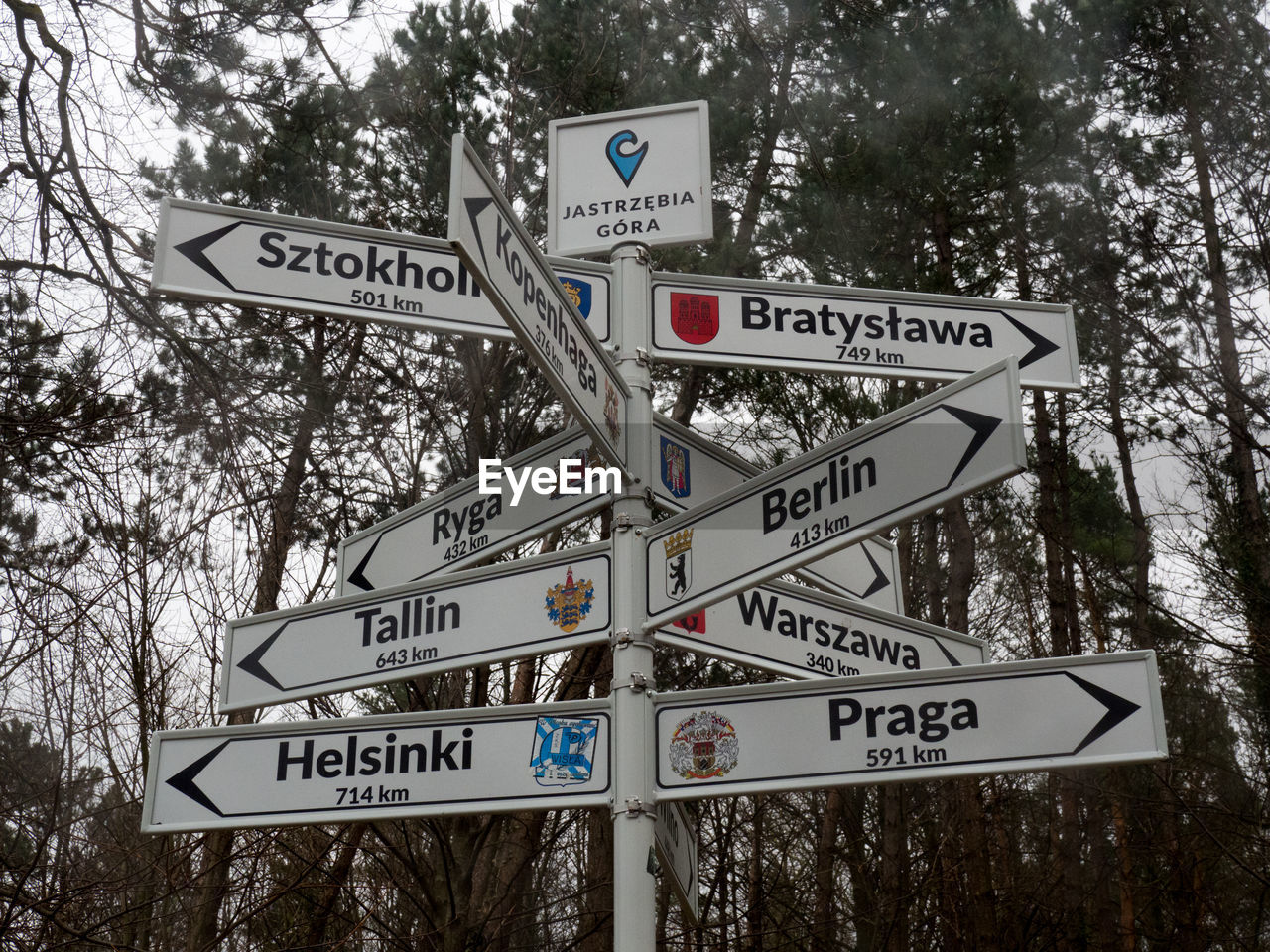 Low angle view of signboard against trees