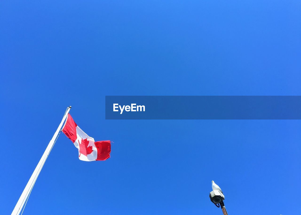 Low angle view of canadian flag waving against blue sky