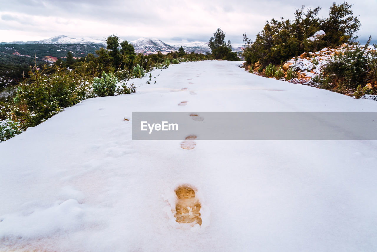 Snow covered land and trees against sky