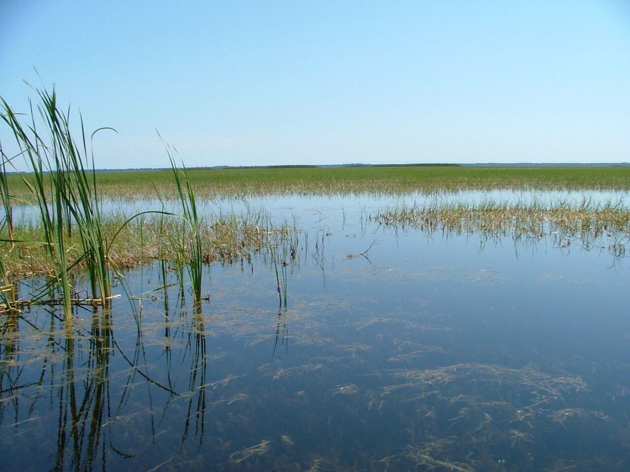 Scenic view of lake against clear sky