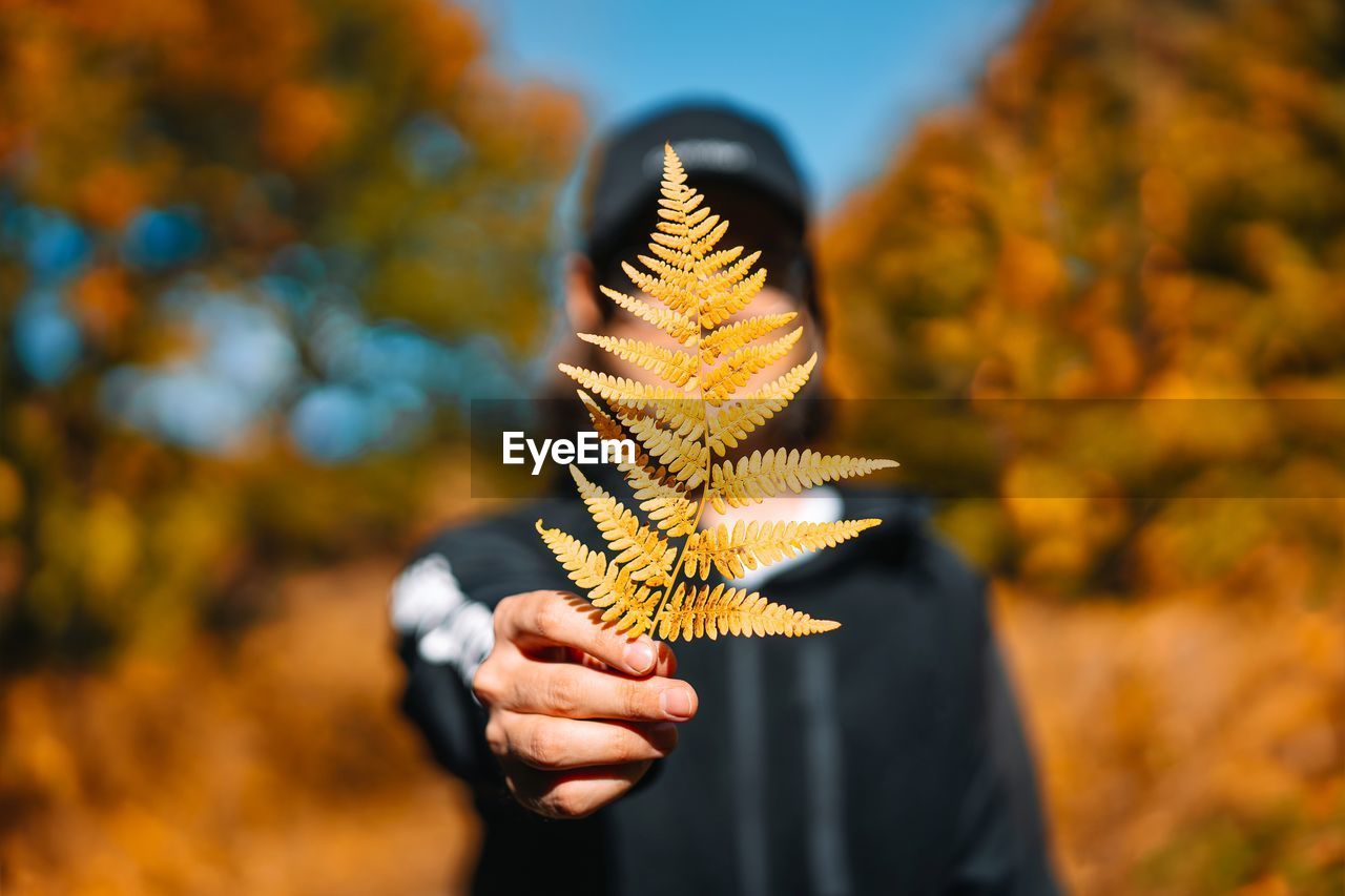 Person holding fern leaf during autumn