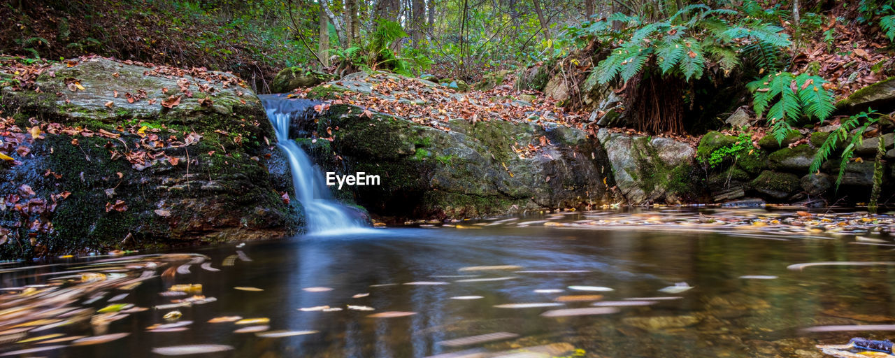 Little waterfall in the forest. long exposition