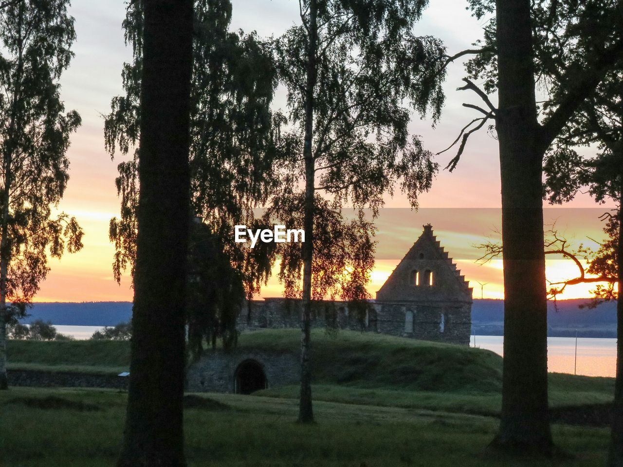 TREES ON LANDSCAPE AT SUNSET