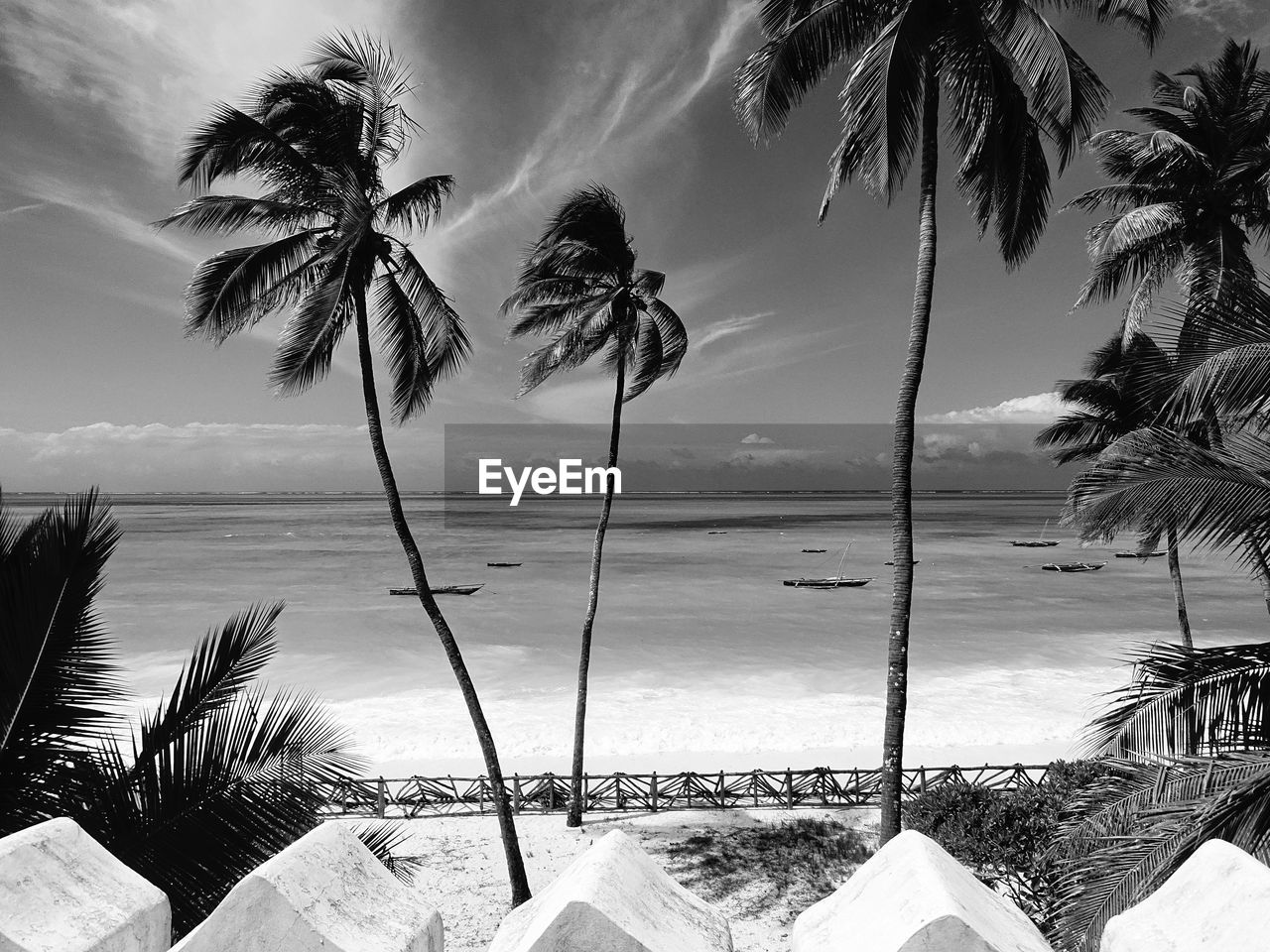 PALM TREES AGAINST SKY AT BEACH