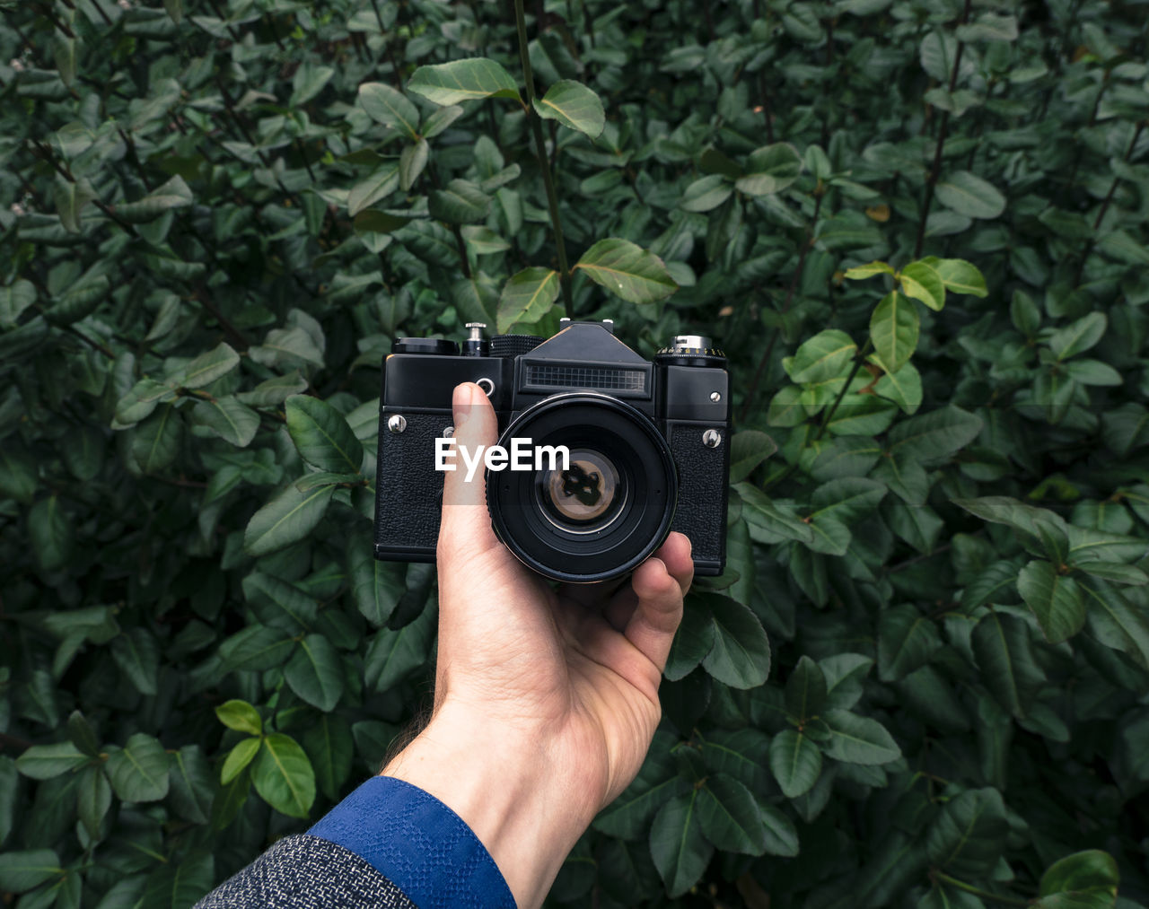 Cropped hand holding camera against plants