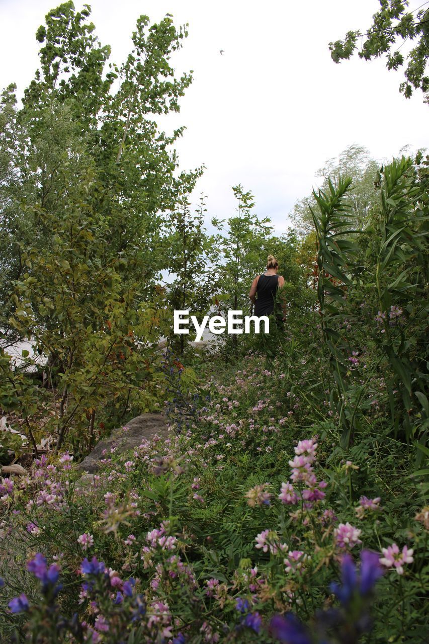 Rear view of woman walking amidst plants