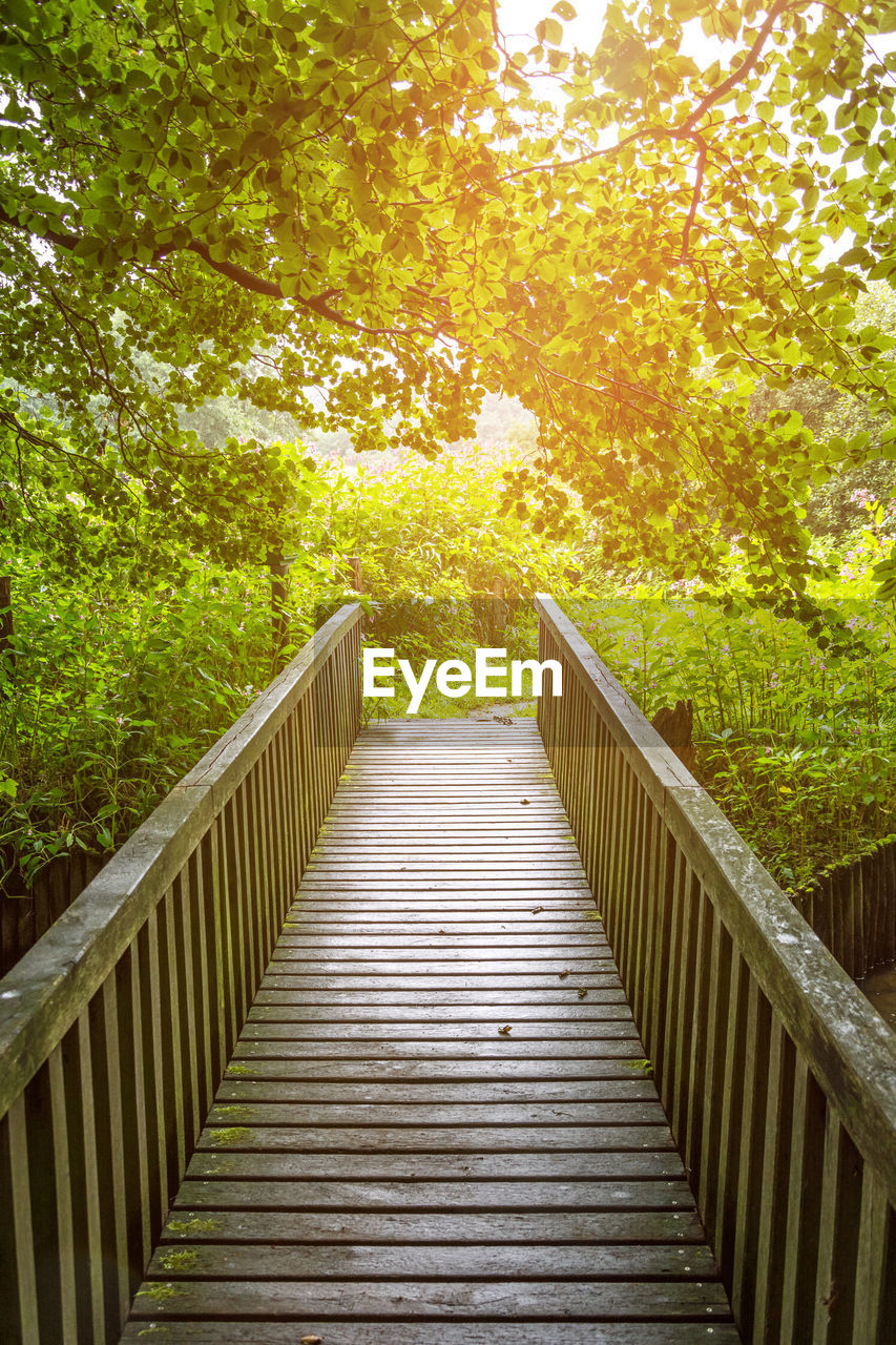 FOOTBRIDGE AMIDST TREES