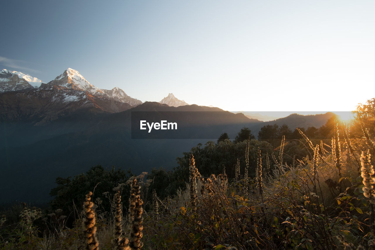Panorama of the annapurna mountain range in the himalayas, from poon hill trek viewpoint in nepal
