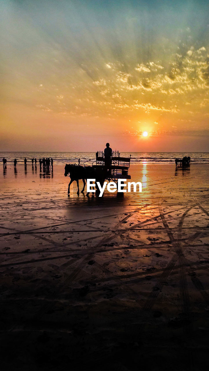 Silhouette man riding horse cart at beach during sunset