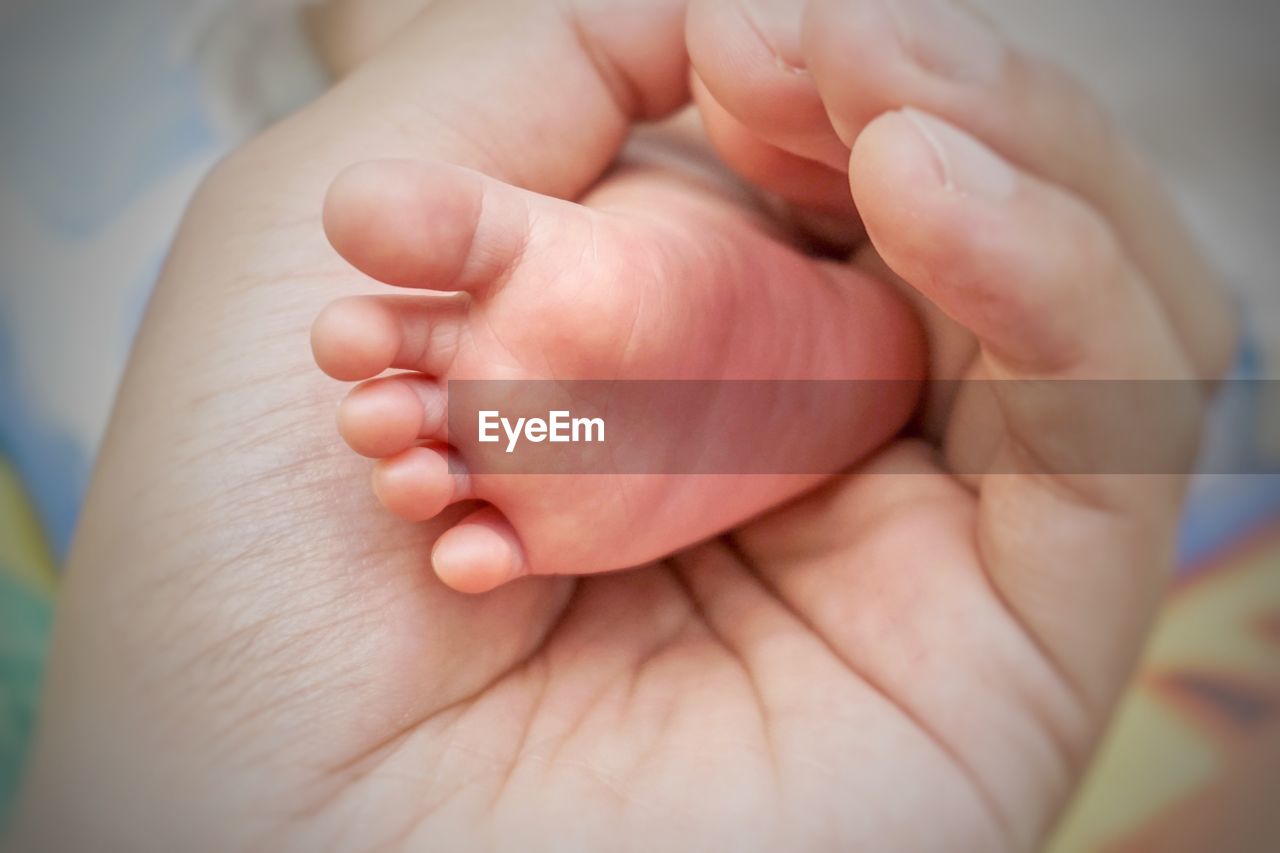 Cropped hand of parent holding baby foot