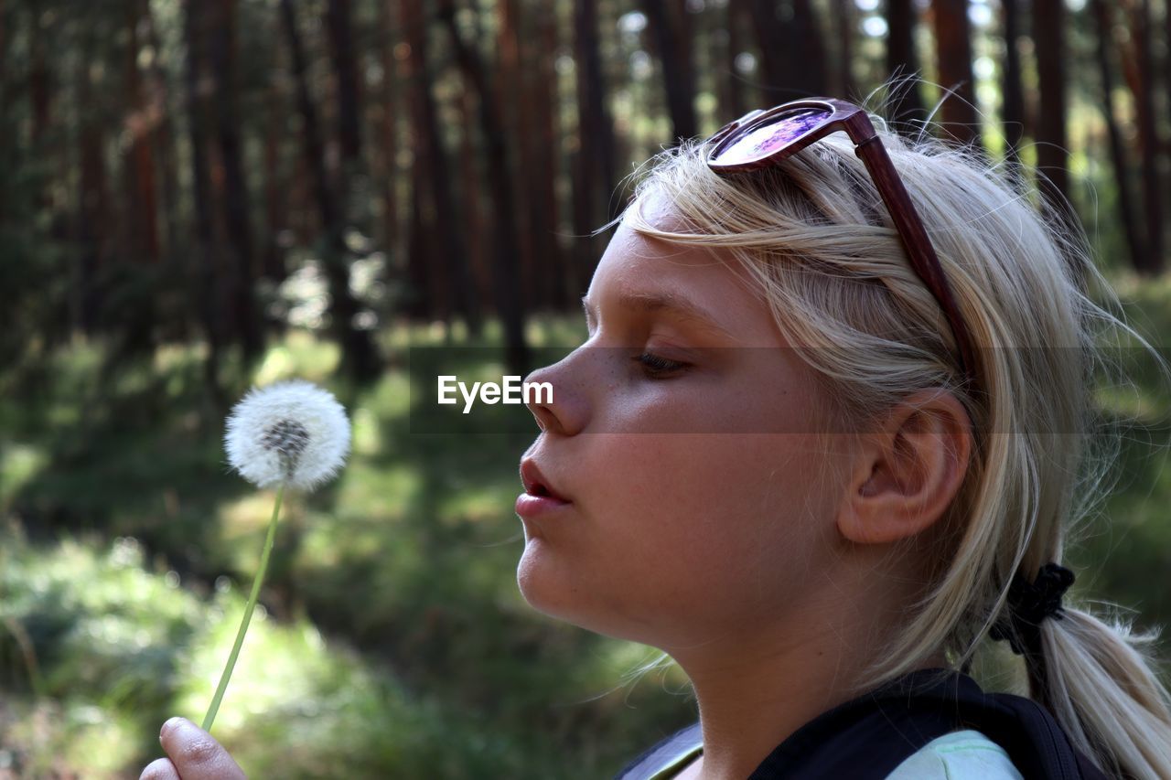 Close-up of girl holding dandelion at forest