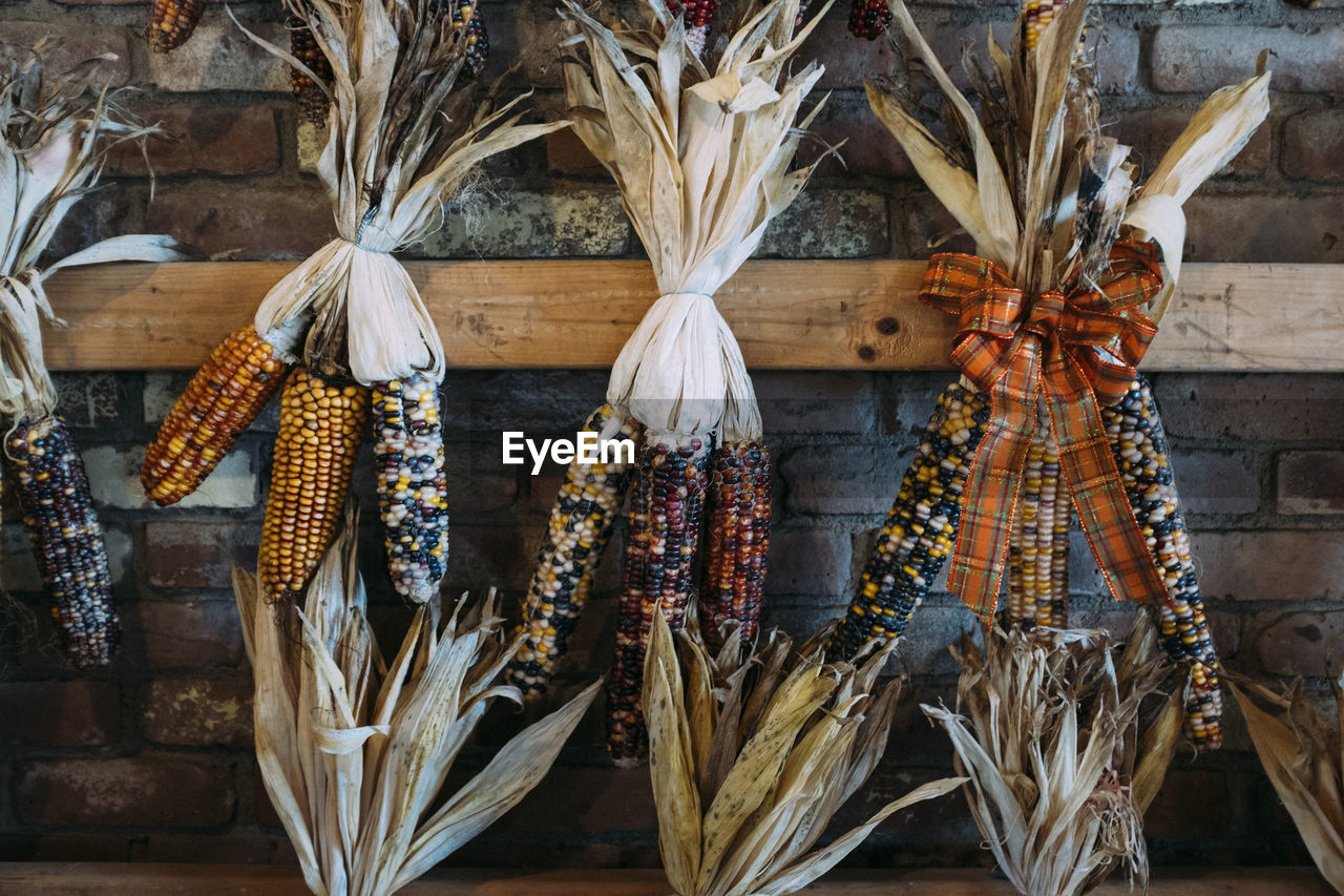 CLOSE-UP OF CORN HANGING AGAINST WALL