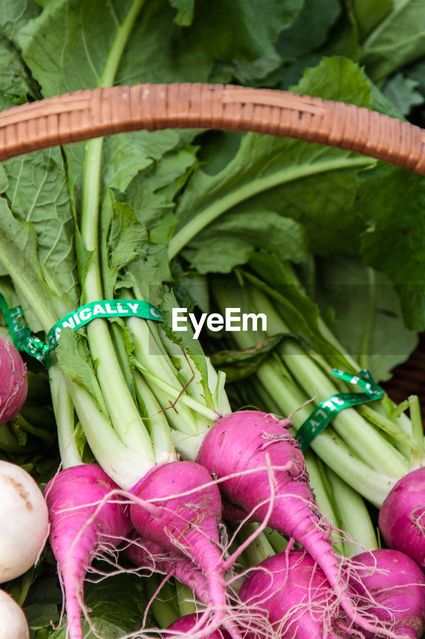 Close-up of radishes