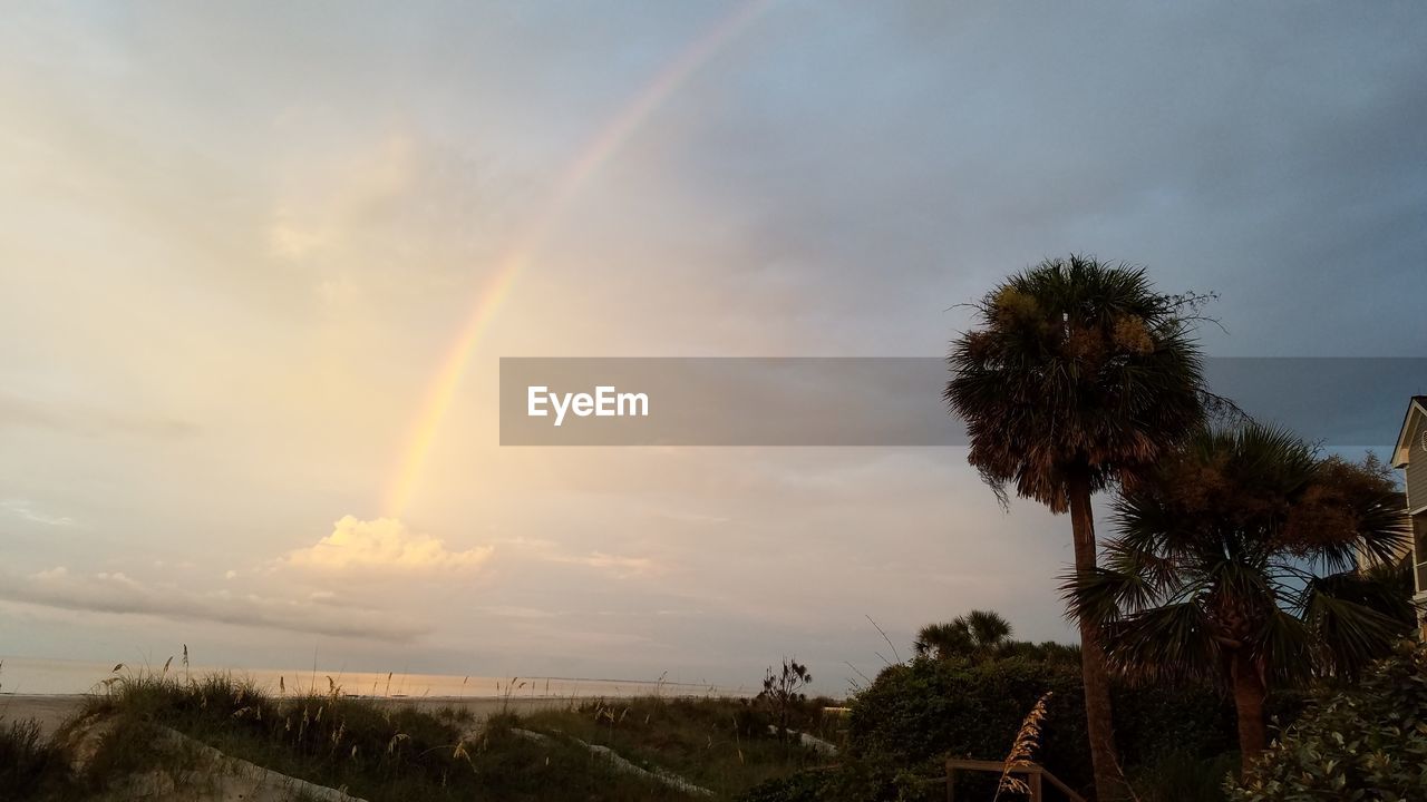 Scenic view of rainbow over trees against sky