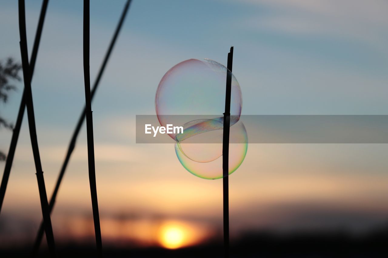 CLOSE-UP OF BUBBLES AGAINST SKY