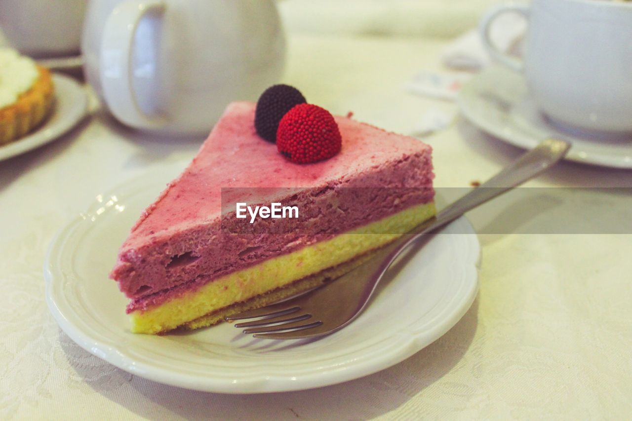 CLOSE-UP OF CAKE SLICE IN PLATE WITH FORK