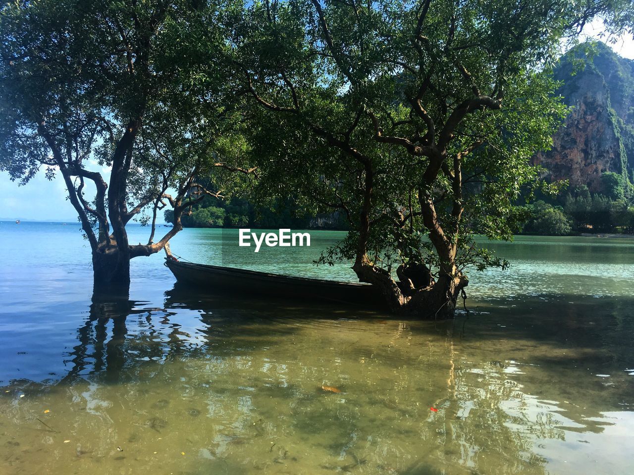 TREES IN LAKE AGAINST SKY