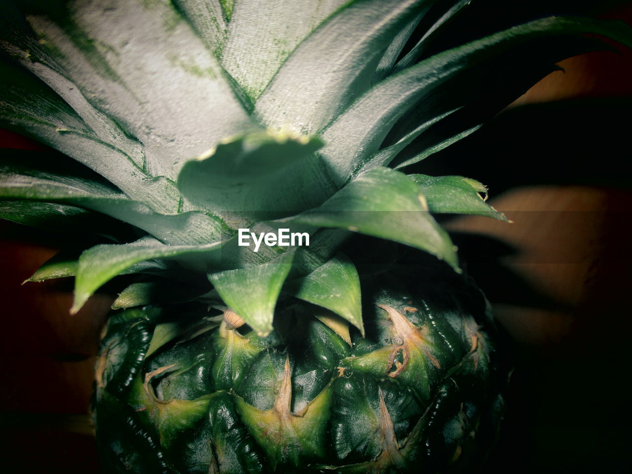 Extreme close up of pineapple