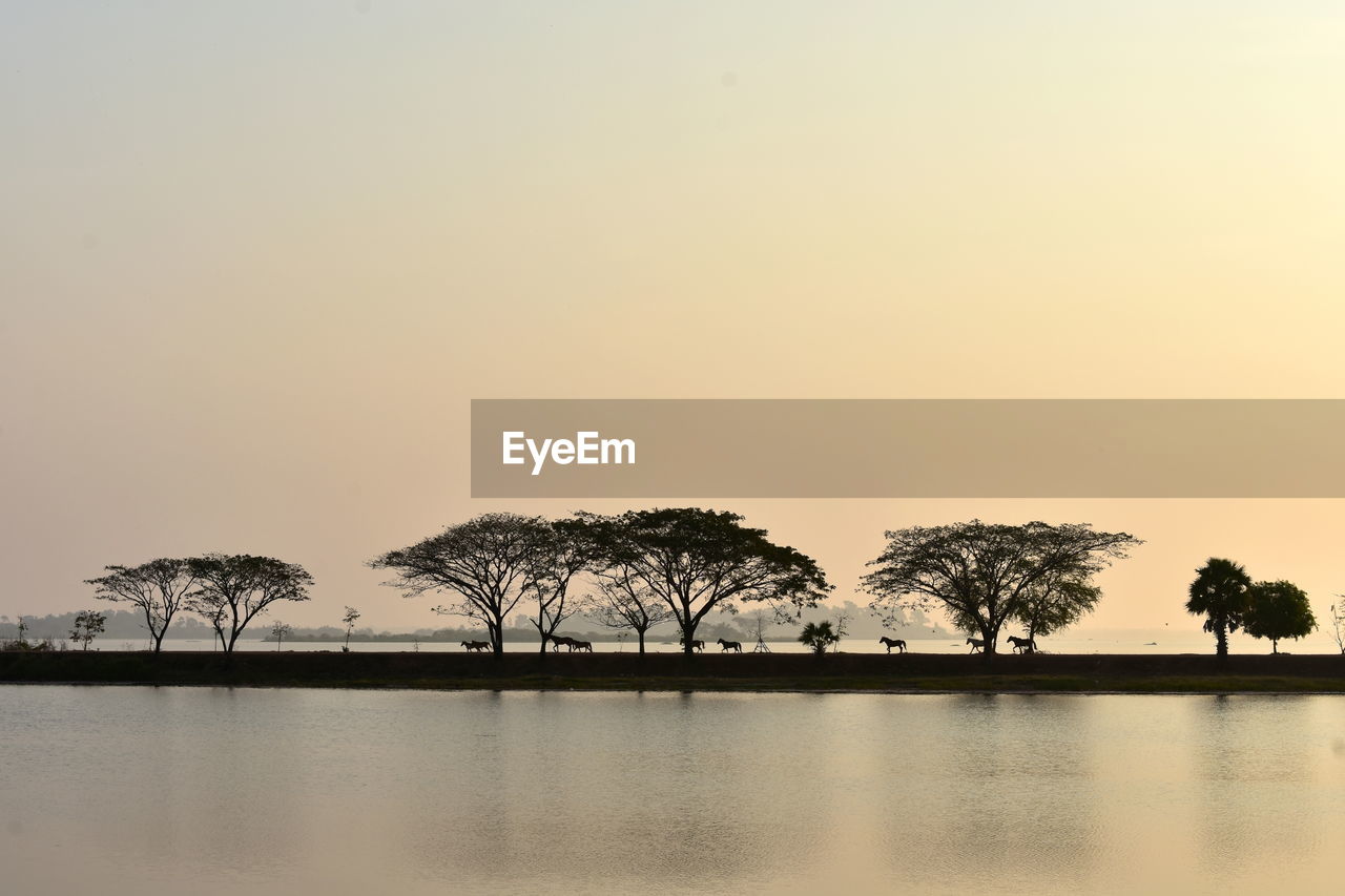 SILHOUETTE TREES BY LAKE AGAINST SKY DURING SUNSET