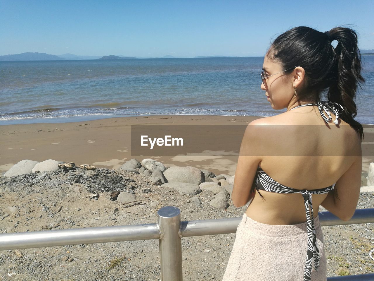 Rear view of sensuous young woman standing at beach