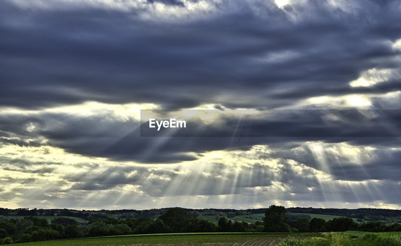 sky, cloud, environment, nature, sunlight, beauty in nature, landscape, scenics - nature, dramatic sky, plant, horizon, storm, cloudscape, field, no people, land, sunbeam, grass, tree, tranquility, outdoors, overcast, rural scene, storm cloud, thunderstorm, morning, tranquil scene, day, moody sky, green, non-urban scene