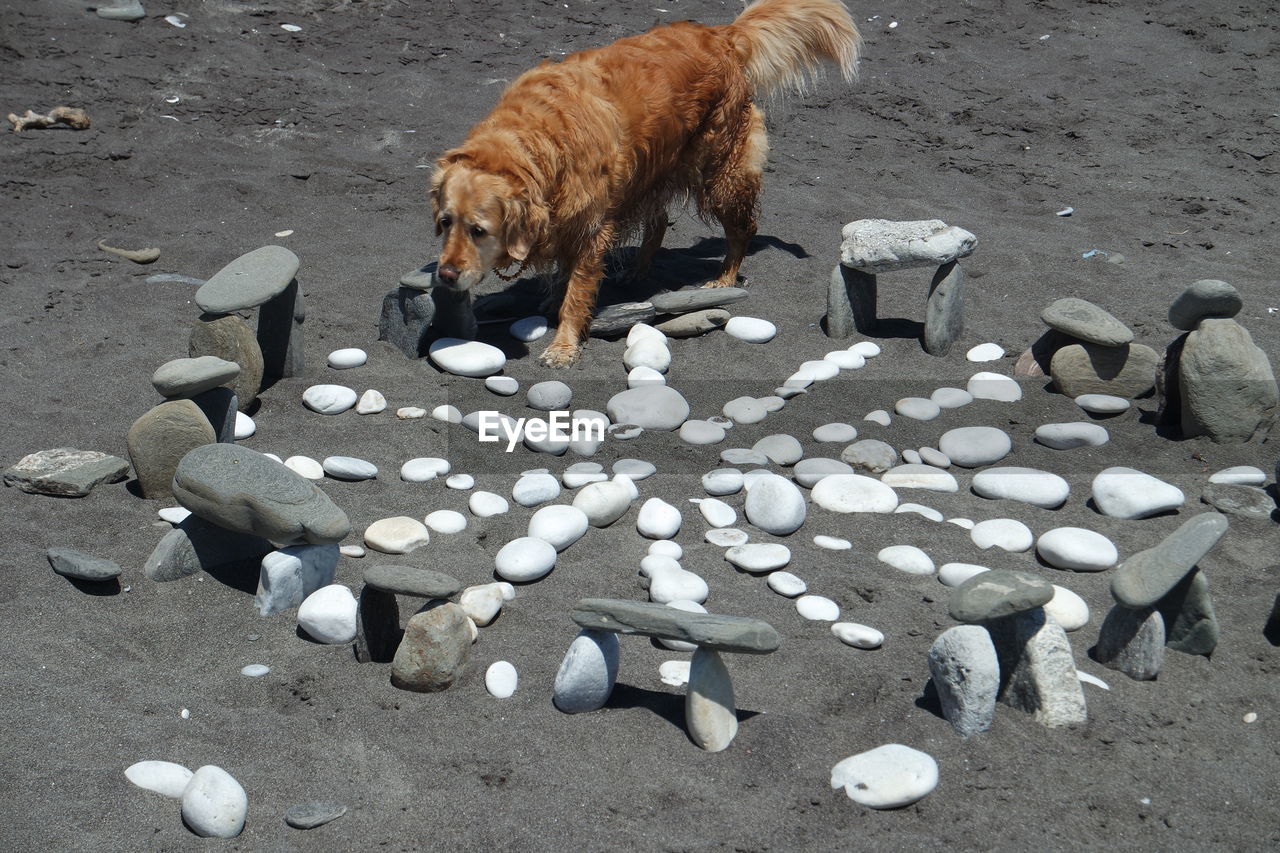 Artwork at the beach