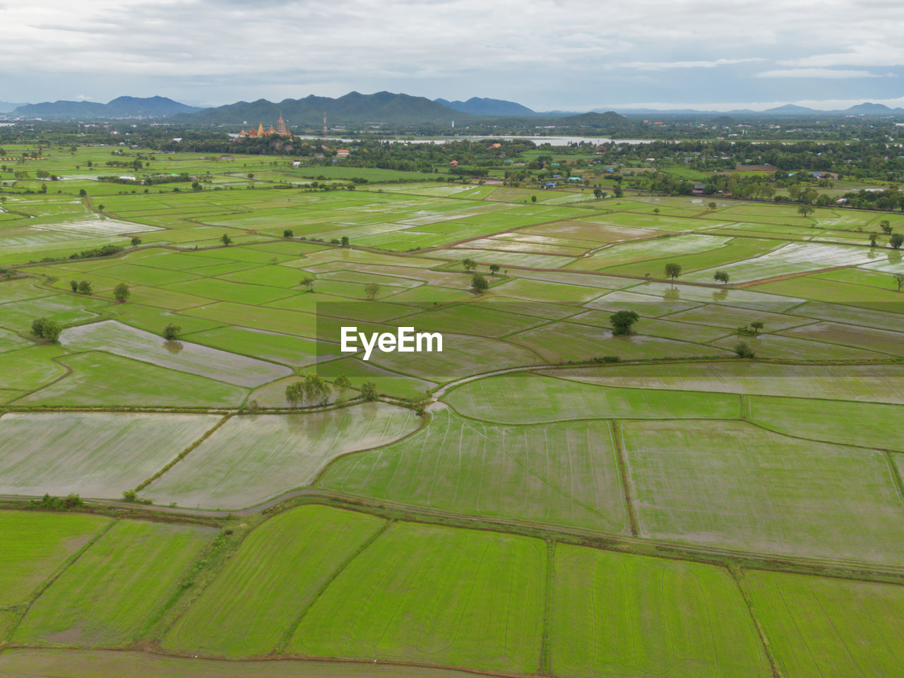 landscape, plain, environment, agriculture, field, rural scene, paddy field, land, scenics - nature, farm, nature, plant, green, grassland, rural area, aerial photography, beauty in nature, growth, sky, crop, tranquility, tranquil scene, no people, cloud, terrace, rice paddy, day, rice, outdoors, pasture, plateau, high angle view, architecture, bird's-eye view, food and drink, travel, soil, building, tree, food, sport venue, hill, idyllic, grass, water, cultivated land, non-urban scene