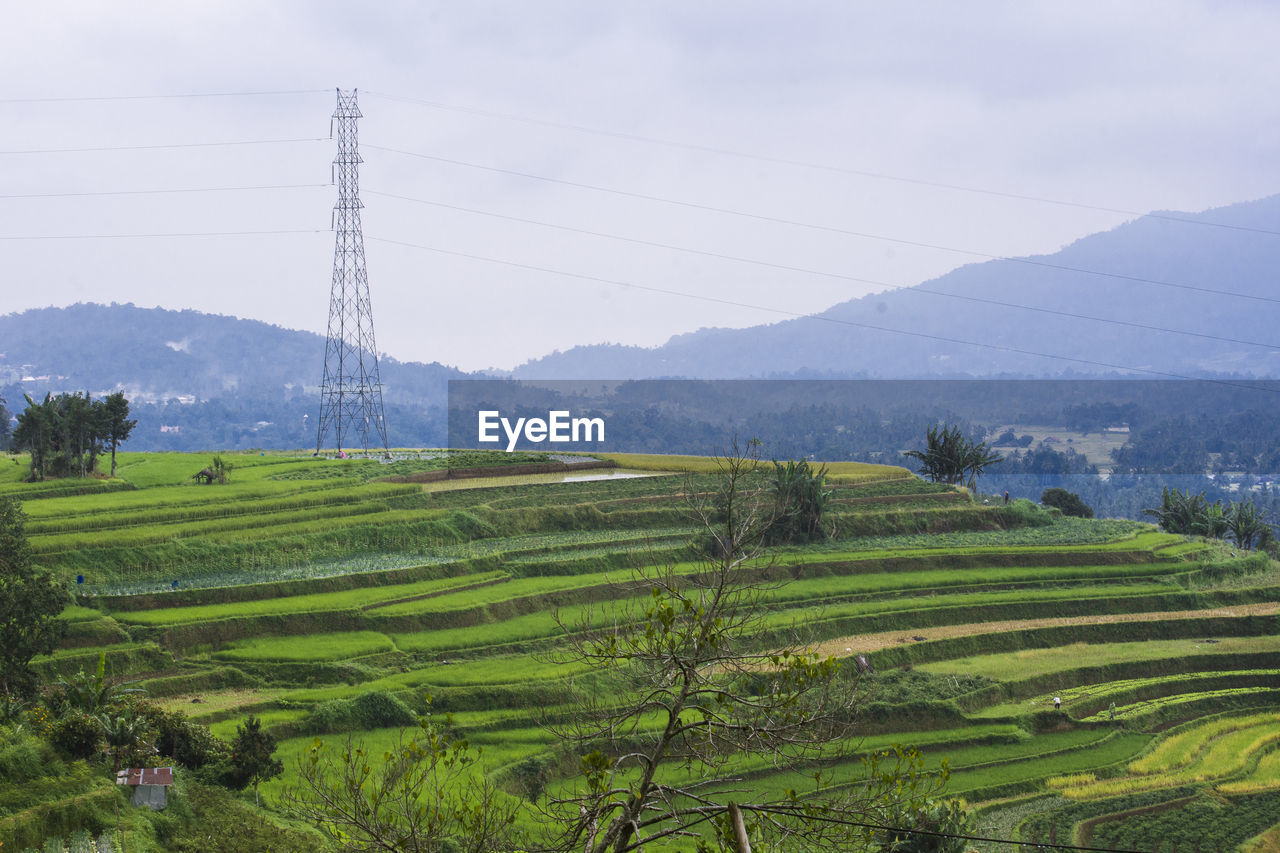 SCENIC VIEW OF FARM AGAINST SKY