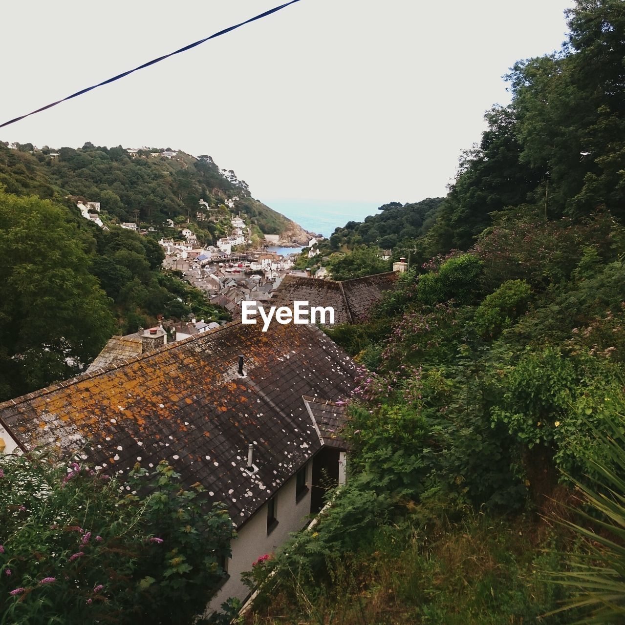 Houses by trees against sky