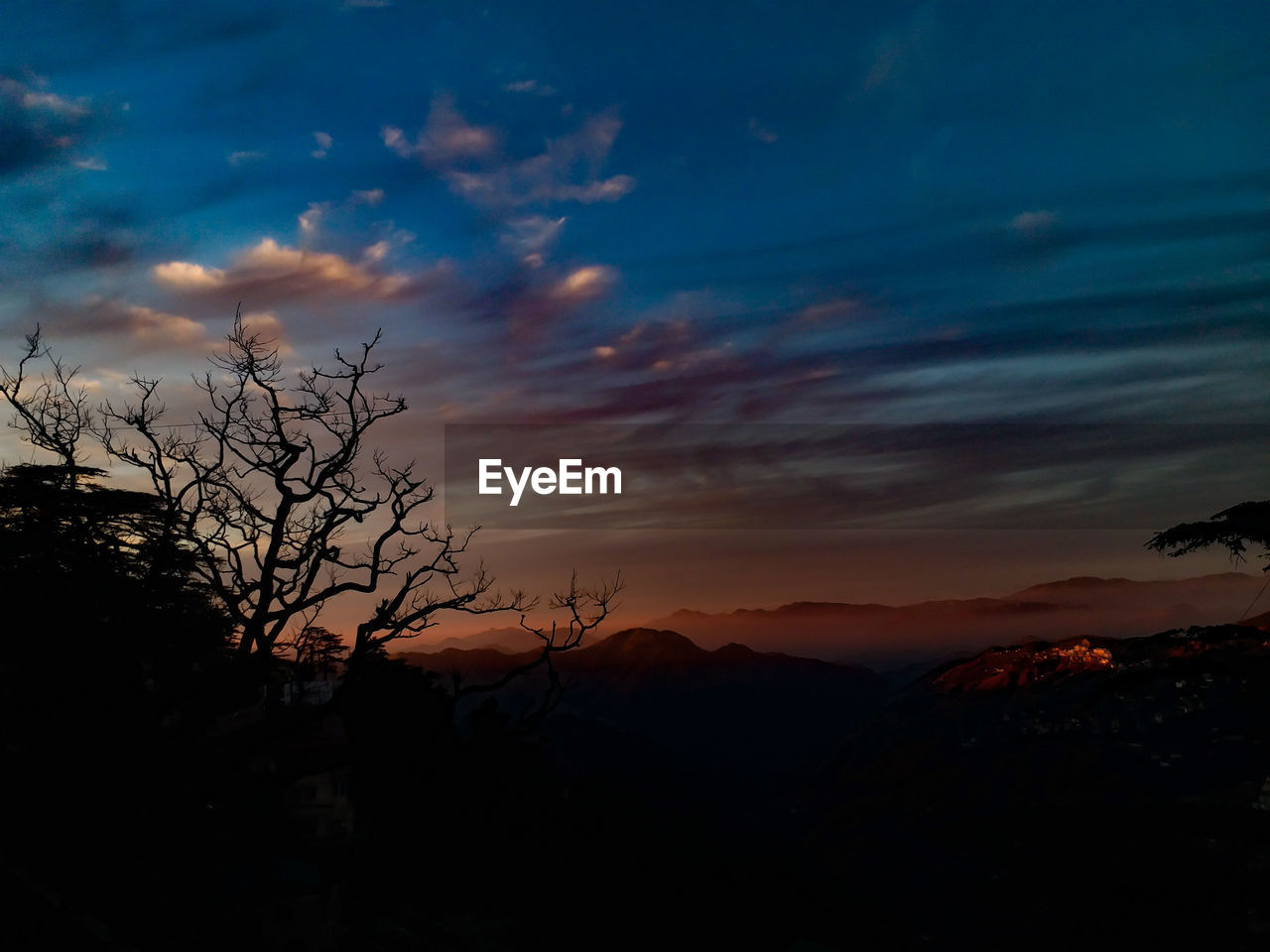 SILHOUETTE OF TREE AGAINST SKY AT SUNSET