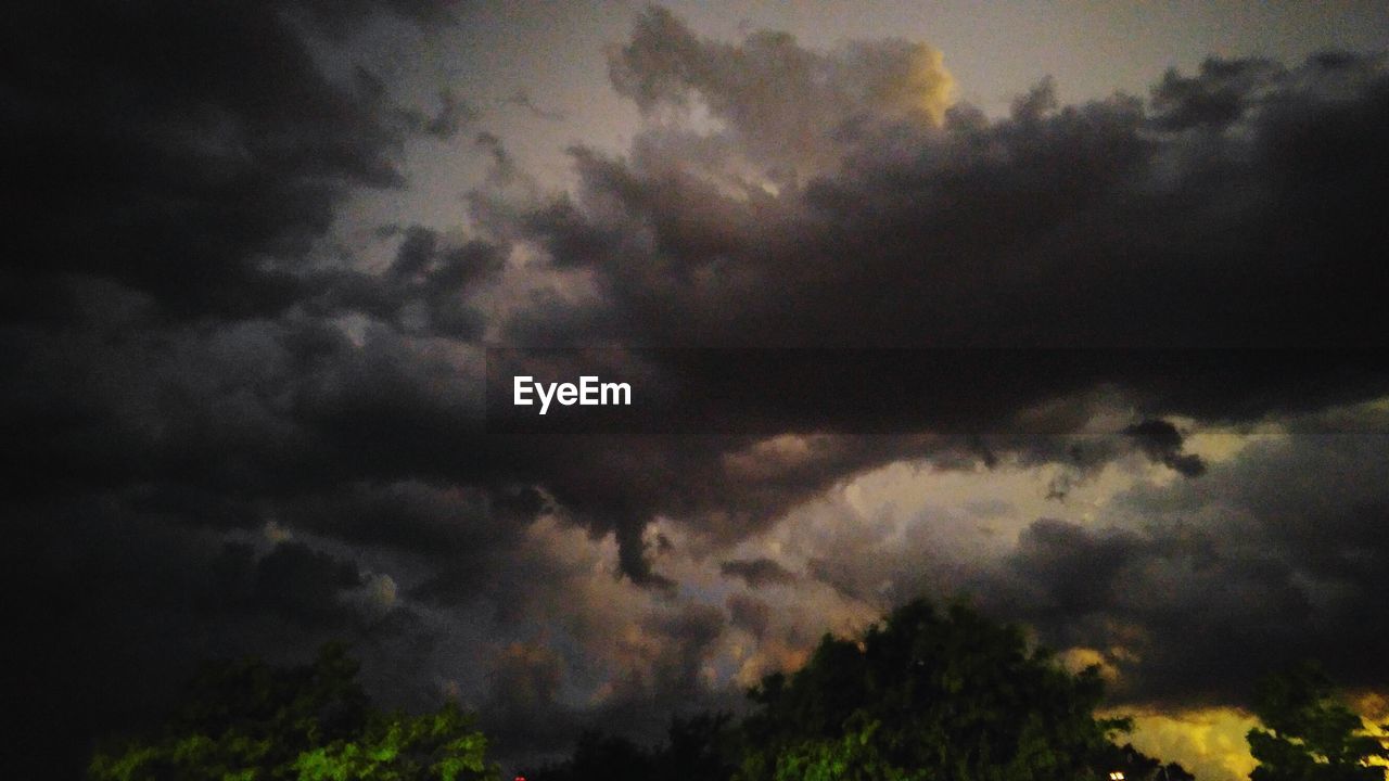 LOW ANGLE VIEW OF TREES AGAINST CLOUDY SKY